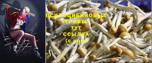 PSILOCYBIN Михайловка