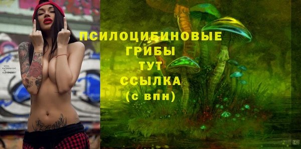 гашиш Надым