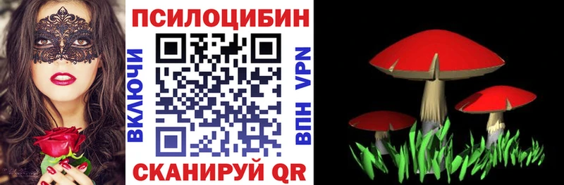Галлюциногенные грибы Magic Shrooms  наркота  Ладушкин 