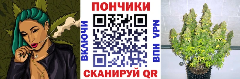 Марихуана OG Kush  где можно купить   Ладушкин 